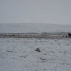 gallery2-104.jpg