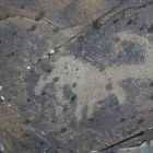 gallery2-49.jpg