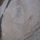 gallery2-62.jpg