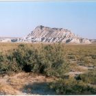 gallery3-14.jpg