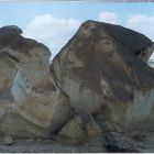 gallery3-64.jpg