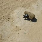 gallery4-53.jpg
