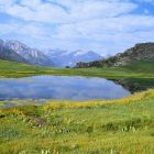 gallery6-21.jpg