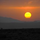gallery6-26.jpg