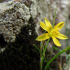 gallery6-31.jpg