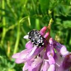 gallery6-38.jpg