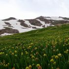 gallery6-46.jpg