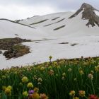 gallery6-47.jpg