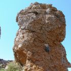 gallery6-49.jpg