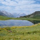 gallery6-64.jpg