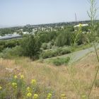 gallery7-26.jpg