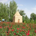 gallery7-71.jpg