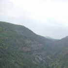 gallery7-84.jpg