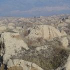gallery8-100.jpg
