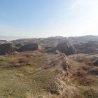 gallery8-105.jpg