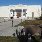 gallery8-117.jpg