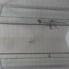 gallery8-142.jpg