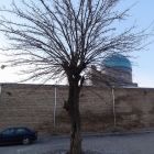 gallery8-204.jpg
