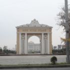 gallery8-240.jpg