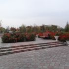 gallery8-250.jpg