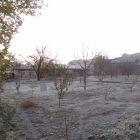 gallery8-60.jpg