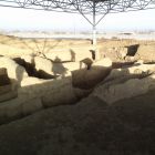 gallery8-63.jpg