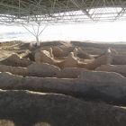 gallery8-83.jpg
